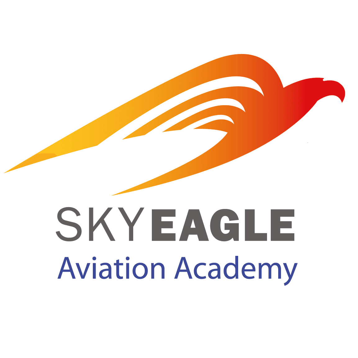 Join Team SkyEagle today!