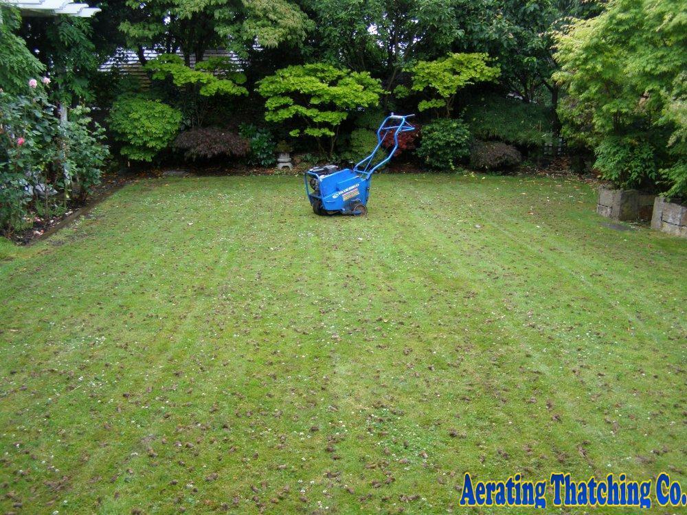 Picture of Back Lawn Aerated in Seattle