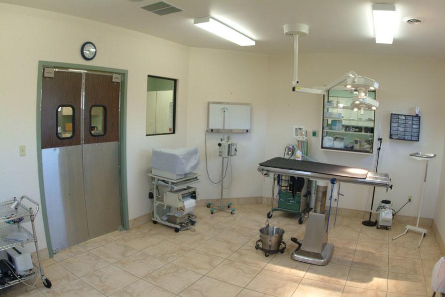 Surgery Suite