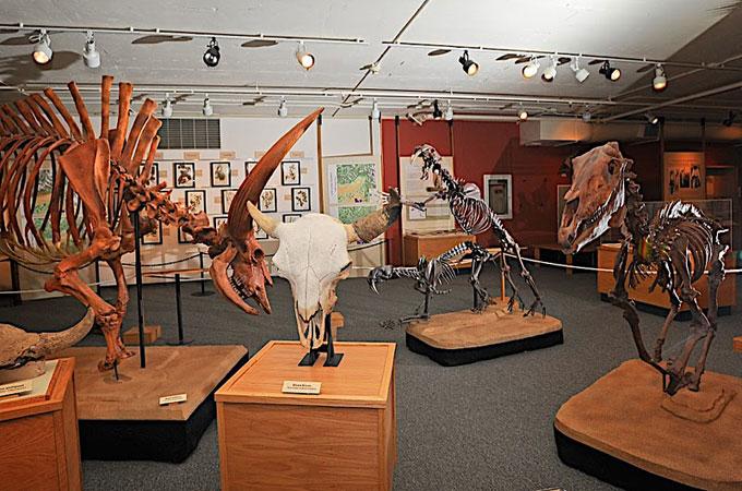 Idaho Museum of Natural History