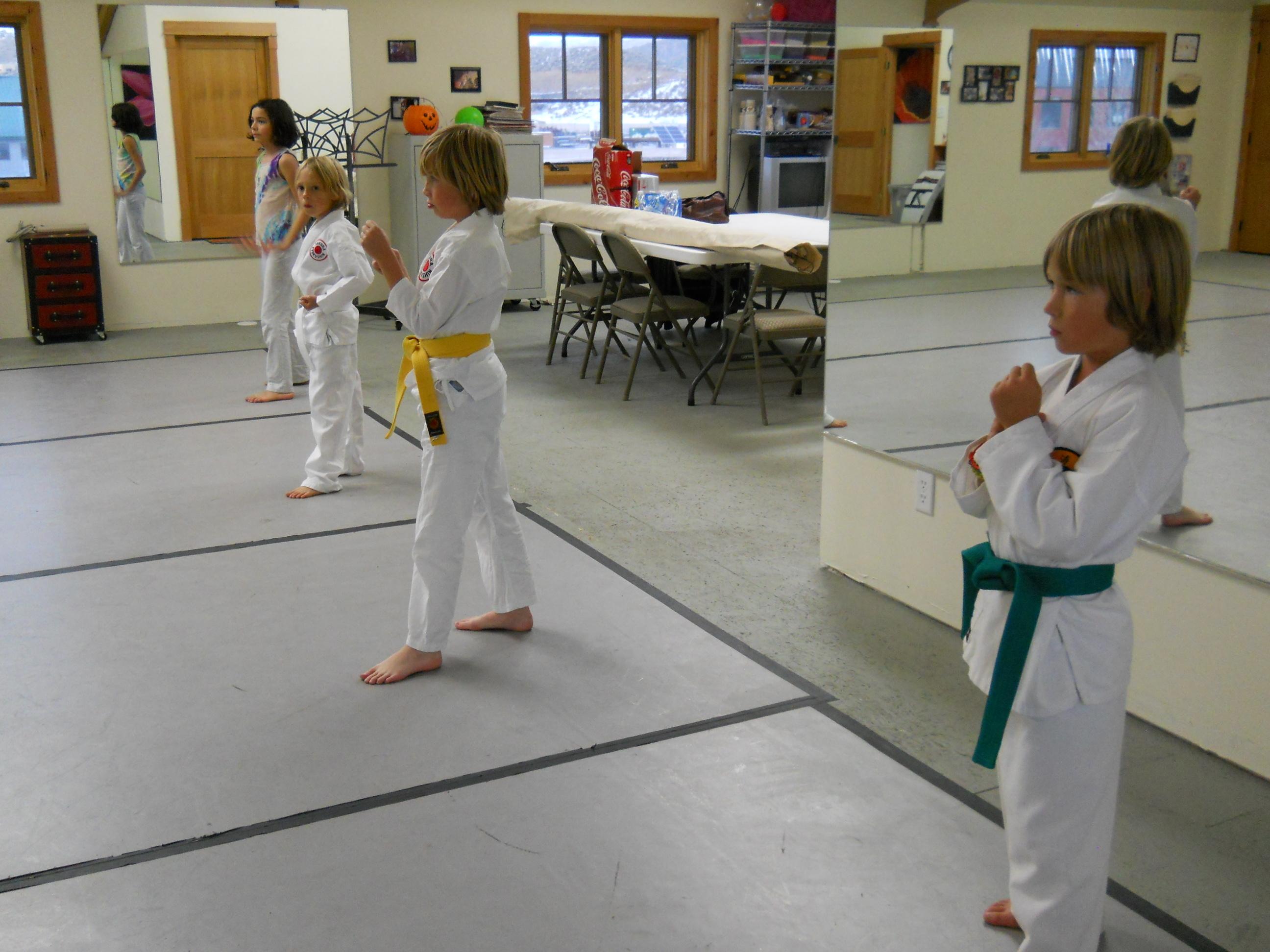 Karate for Kids and Adults in Ouray and Ridgway