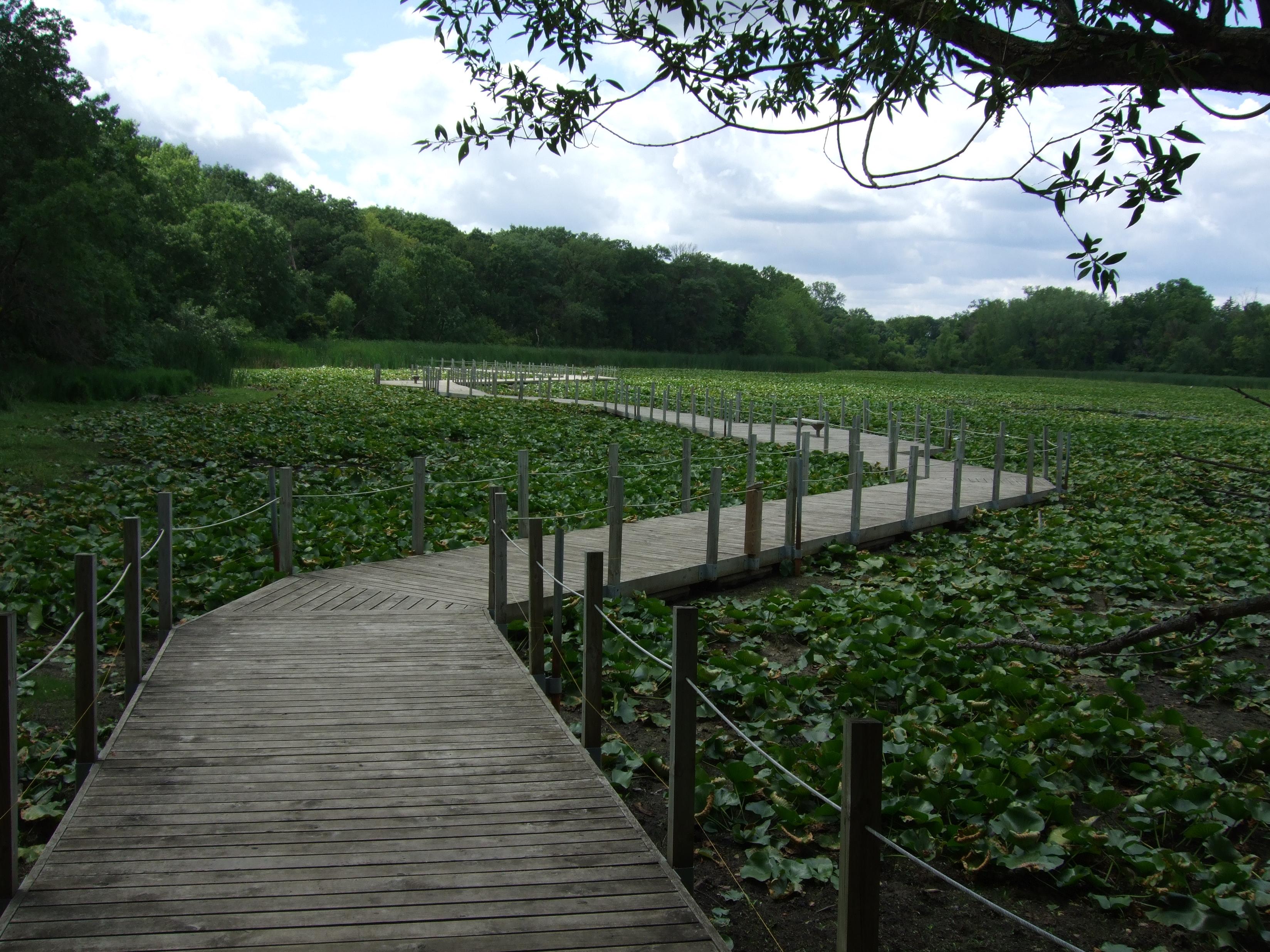 Maplewood Nature Center