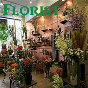 Florist in Dothan