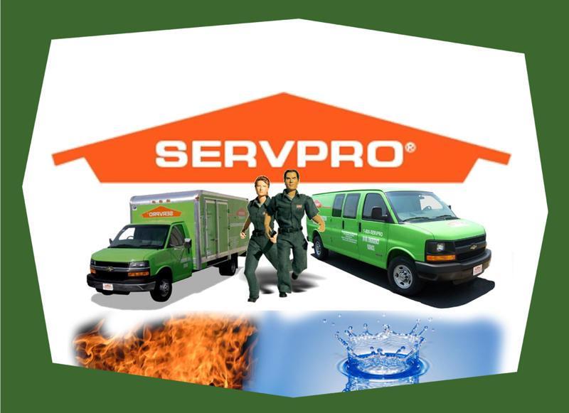 Stormy & Blaze, SERVPRO mascots