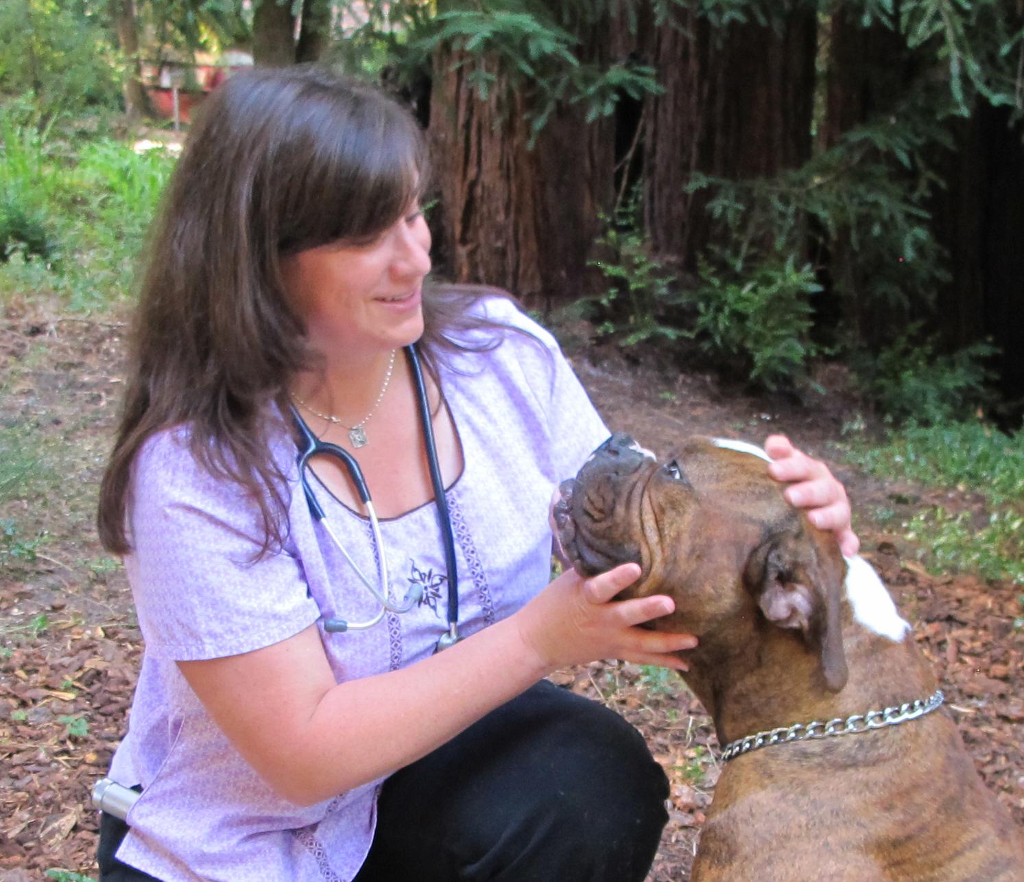 Gentle canine Brix being examined by Dr. Kuty