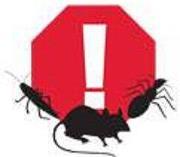 Ohio Valley Pest Control