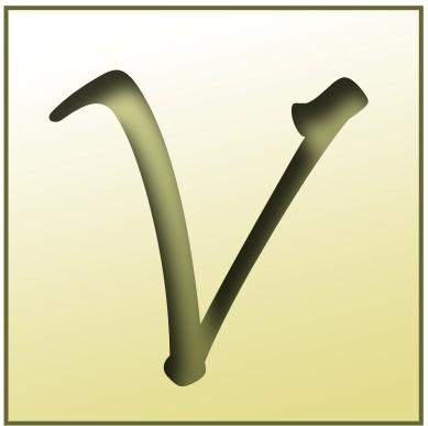 www.vanishdfw.com logo