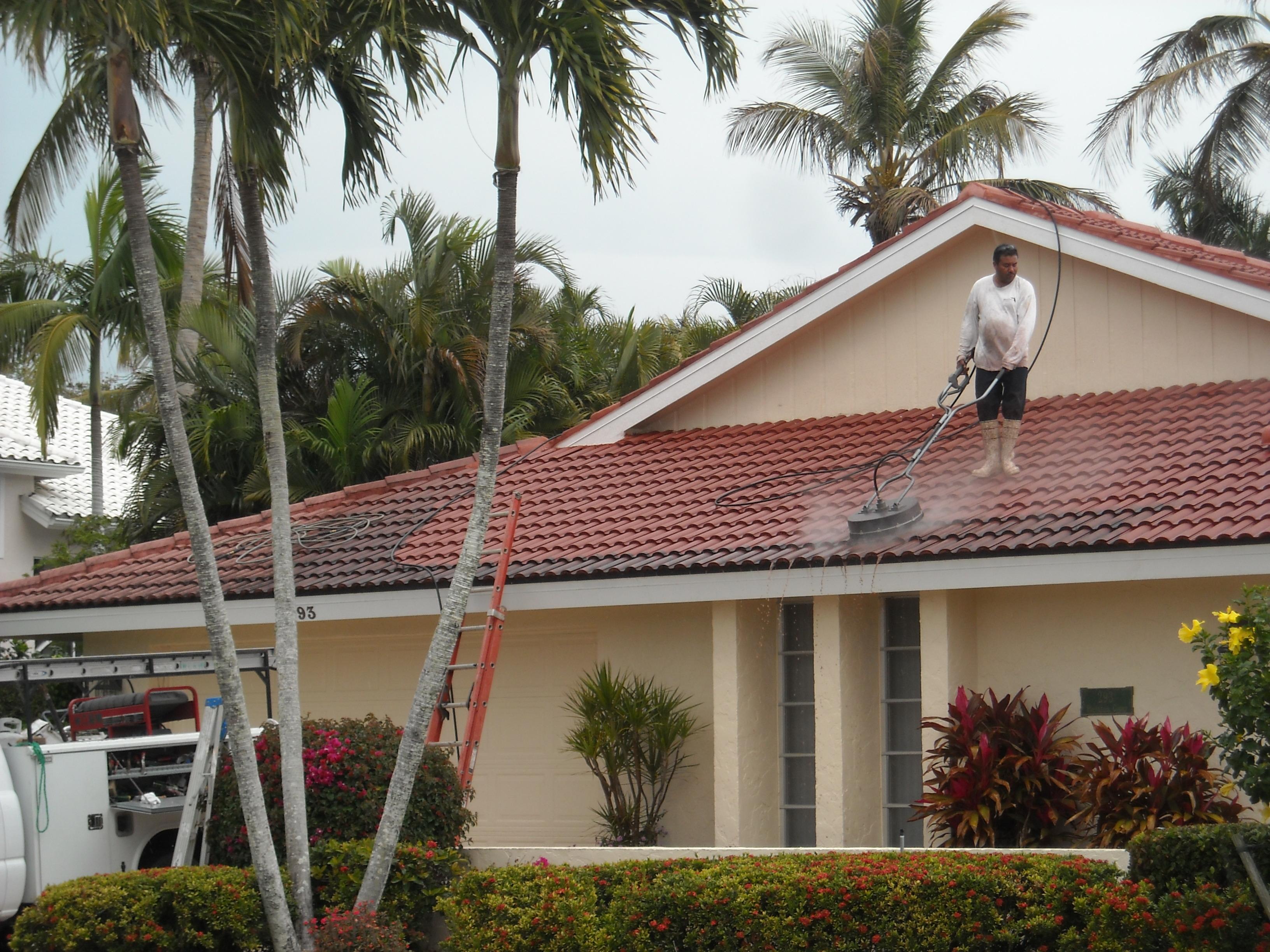 Roof Cleaning