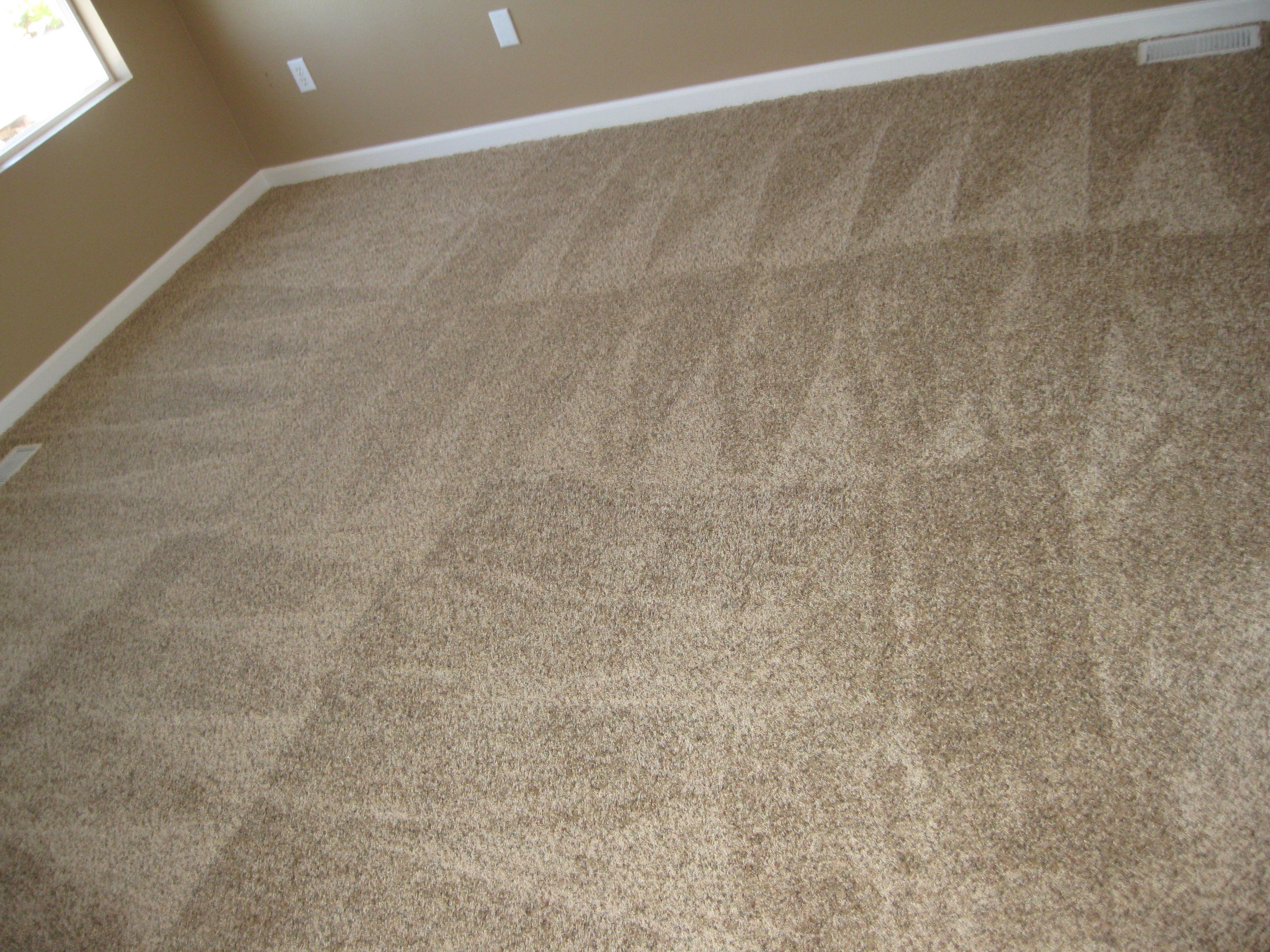 Carpet Cleaning