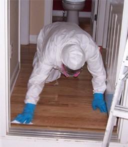 Area Environmental?s mold remediation technicians attack the root causes of mold growth.  We accomplish this by removing the underlying environmental causes.