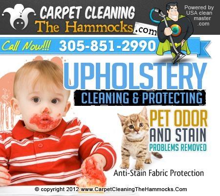 Upholstery Cleaning