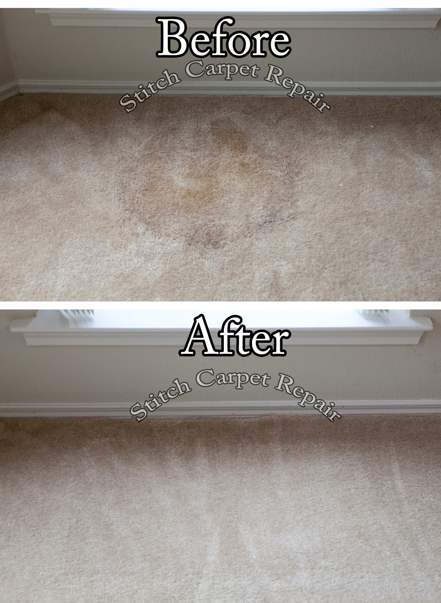 Potted Plants Stain Carpet Repair