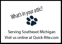 Quick-Rite Wildlife Control Specialists