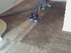 Carpet Cleaning