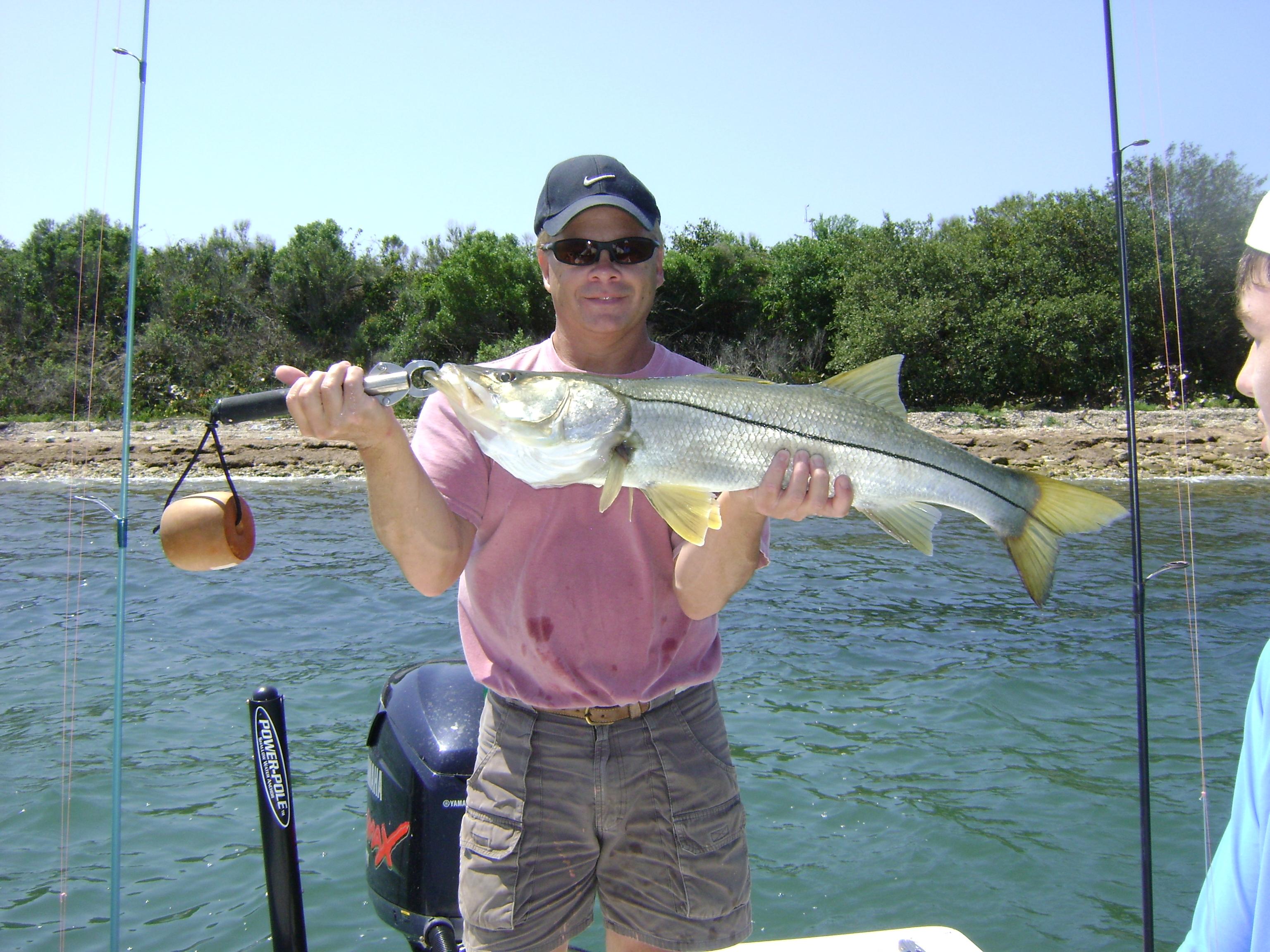 fishing charters in tampa bay