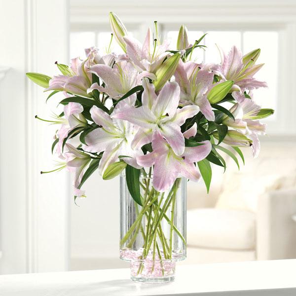 Lilies