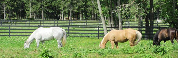 Buckley Fence, LLC Steel Board Fence Big http://www.buckleyfence.com/