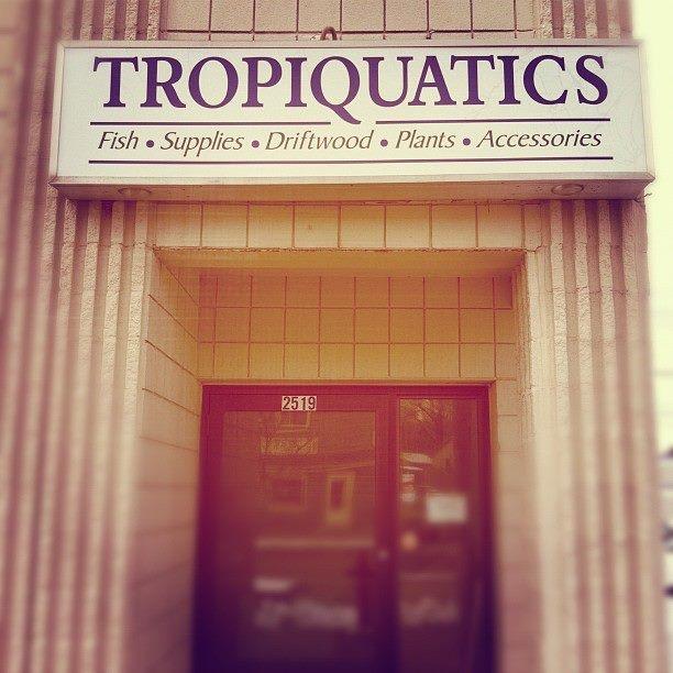 TROPIQUATICS