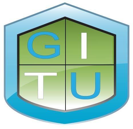 Global IT University Logo