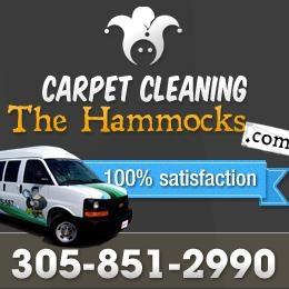 Carpet Cleaning The Hammocks