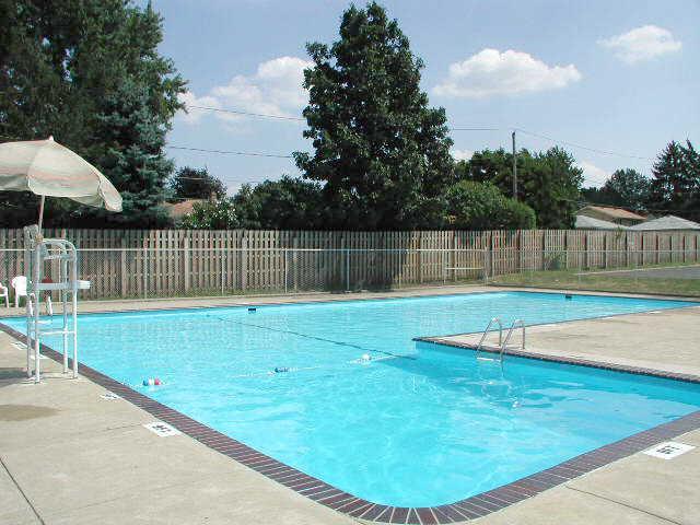 Olympic size swimming pool & Kiddie pool