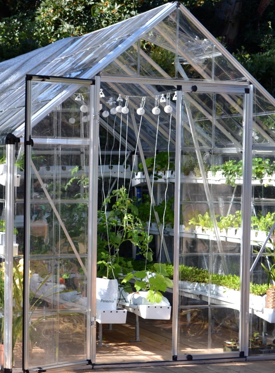 turnkey greenhouse vegetable growing solution