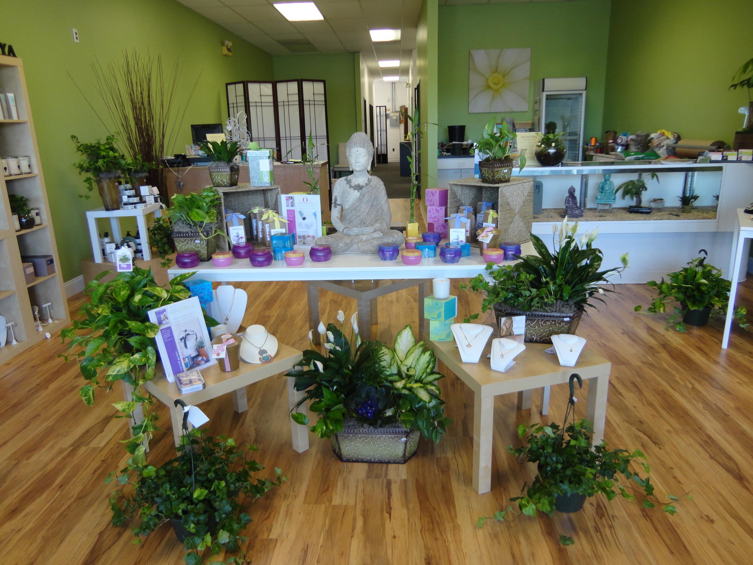 Zenplicity Studio & Florist