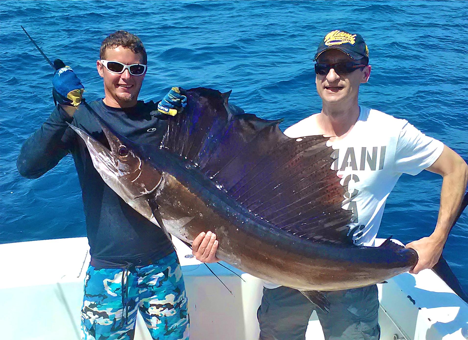 Atlantic Sailfish - Catch and Release