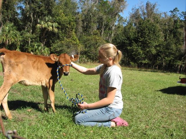 Learning about farms is fun!