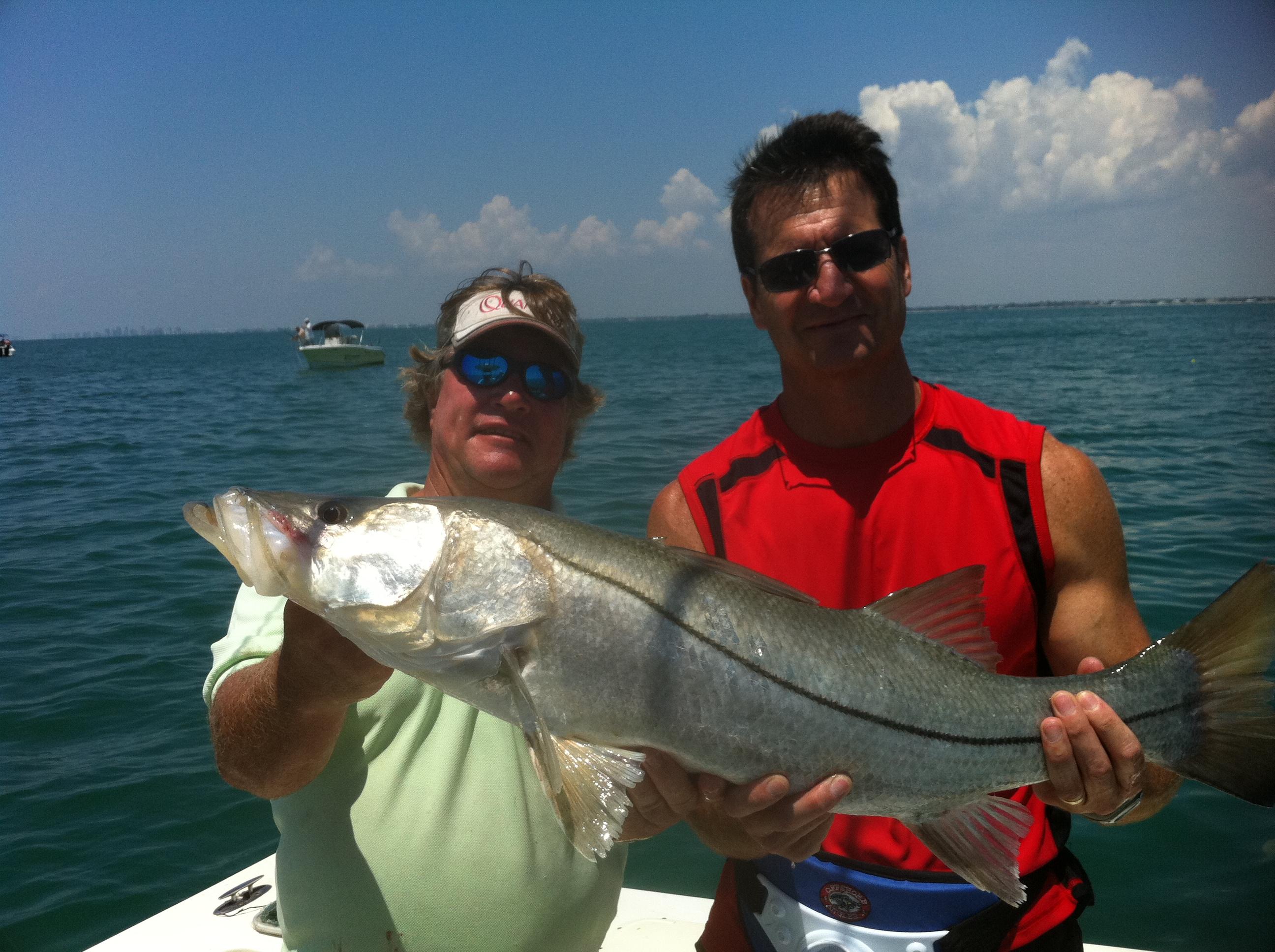 Naples Snook