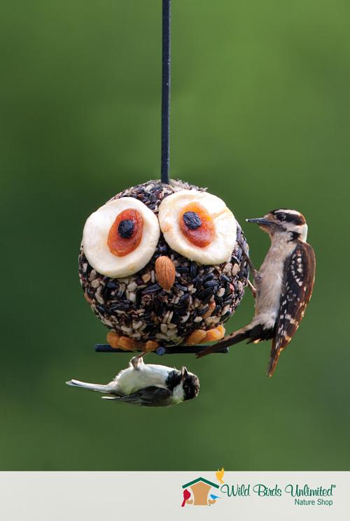 Hoot the Owl - A seed cylinder for the birds!