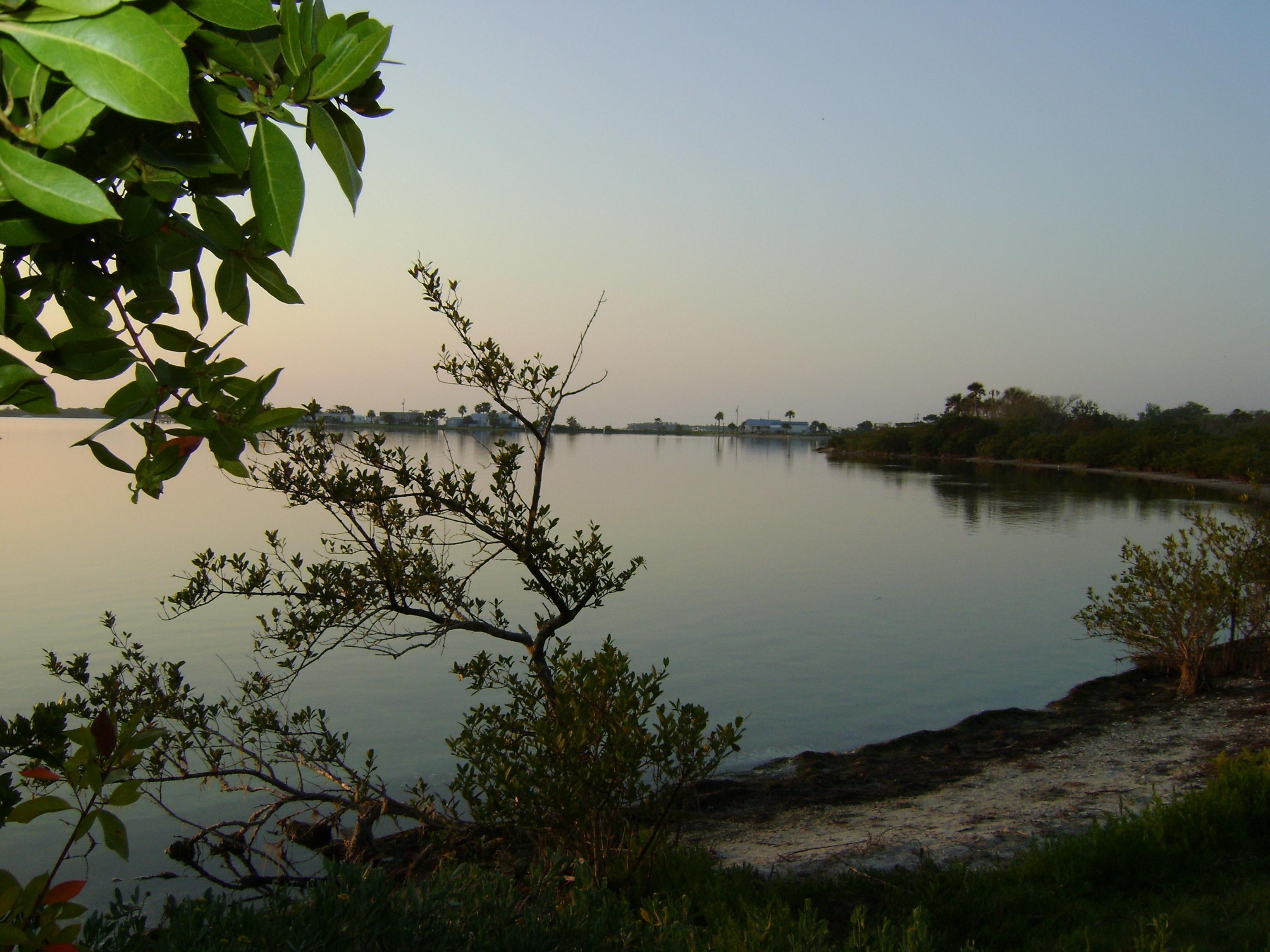 Early morning redfish flats in front of cabins.