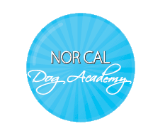 Nor Cal Dog Academy