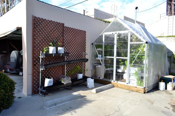 Hydroponic greenhouse system