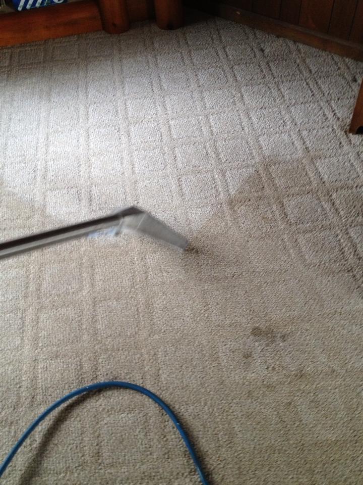 Professional Carpet Cleaning