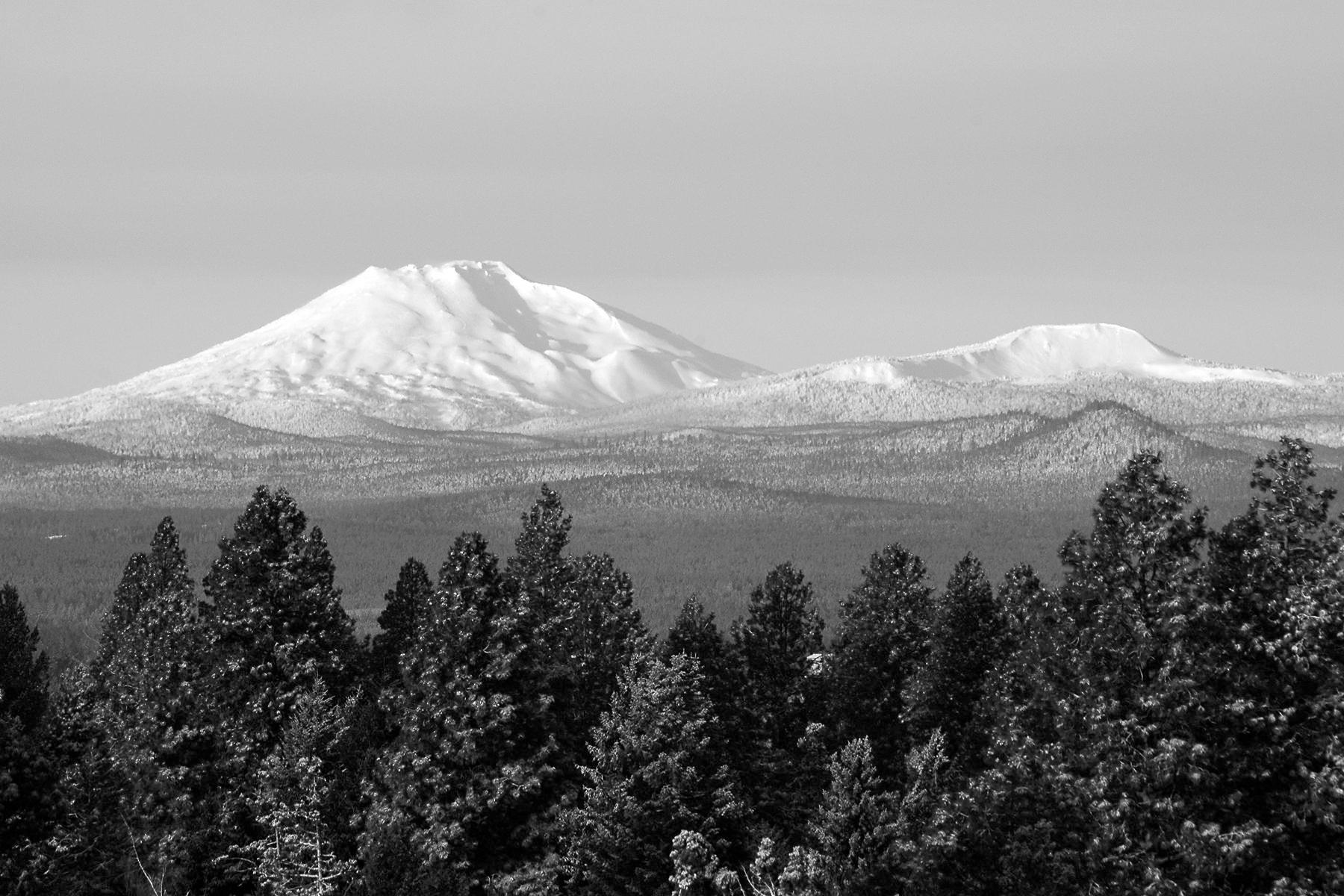 Bend Living Real Estate