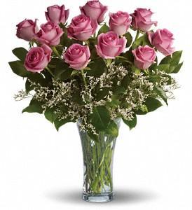 Flower shops Houston Texas Dozen Pink Roses