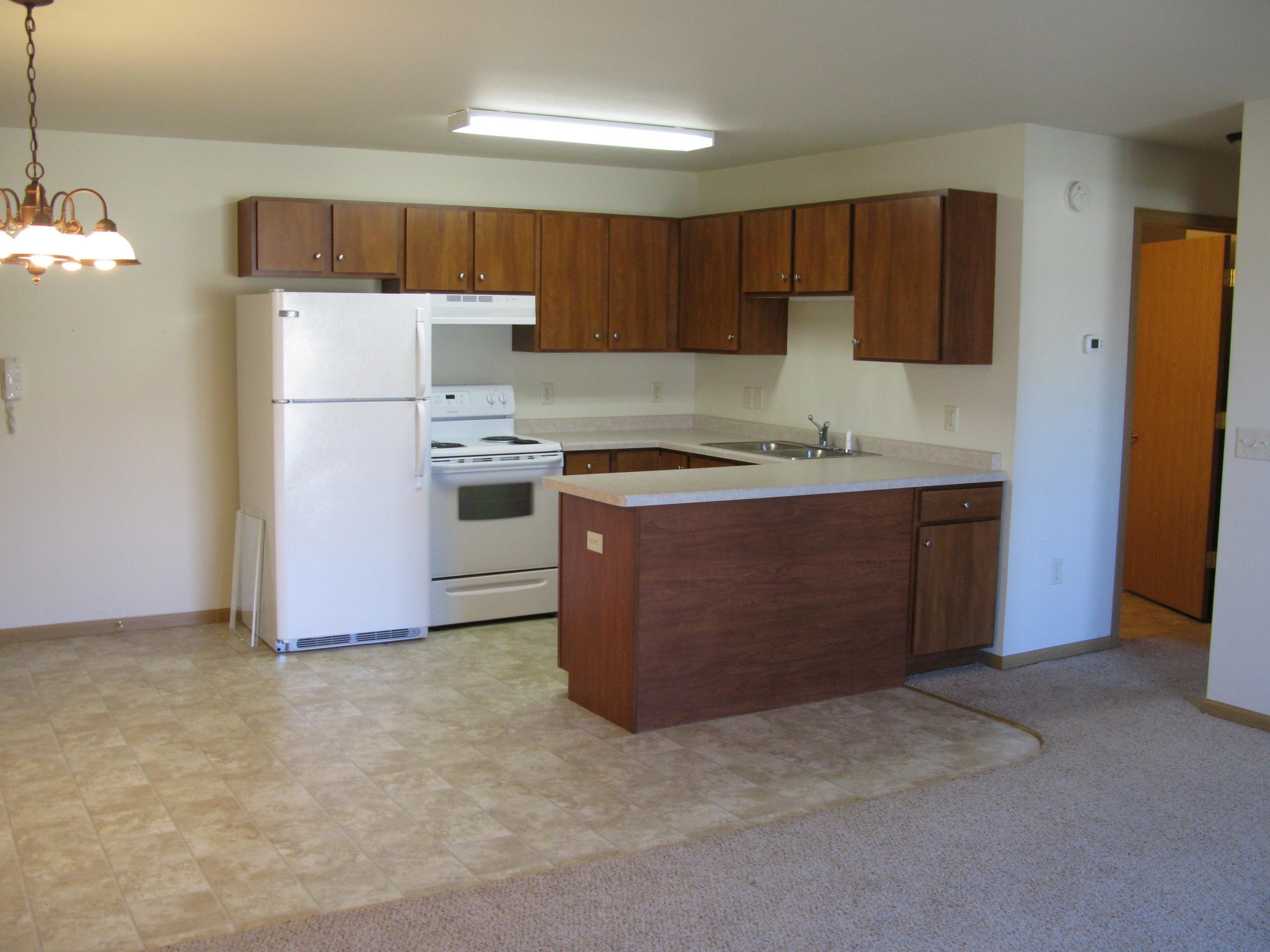 Jackson Estates Apartment Kitchen/Living Room