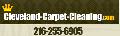 Cleveland Carpet Cleaning