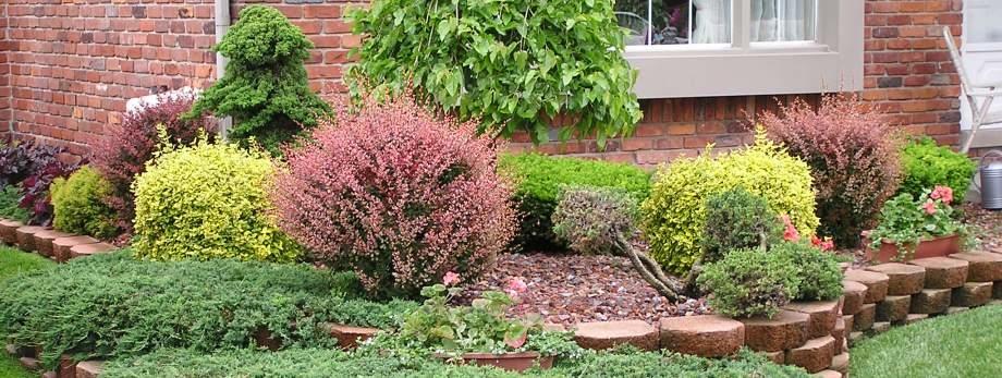 Trees & Tree Shrubs