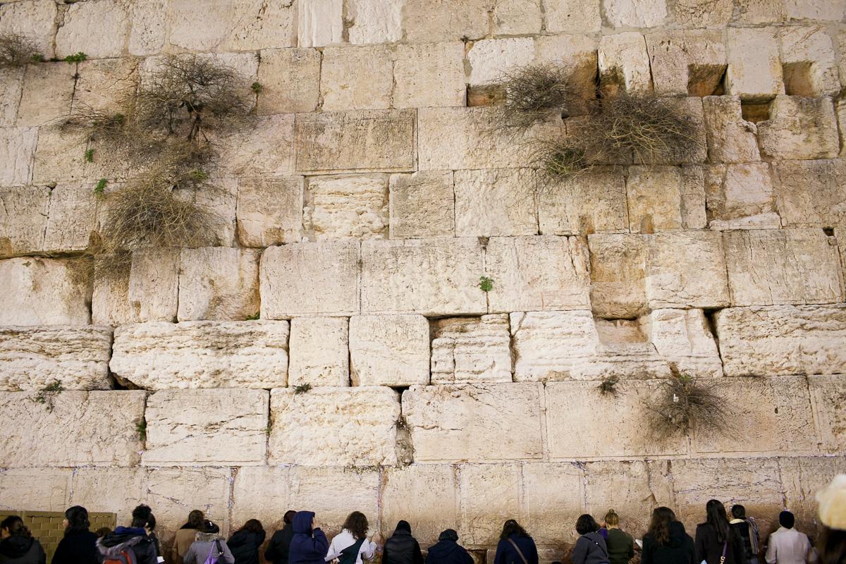 wailing wall, old city of jerusalem, women praying