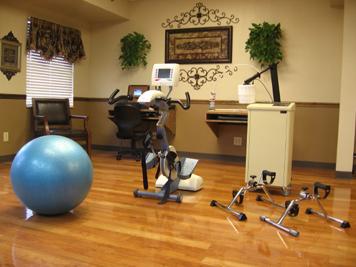 Therapy Gym