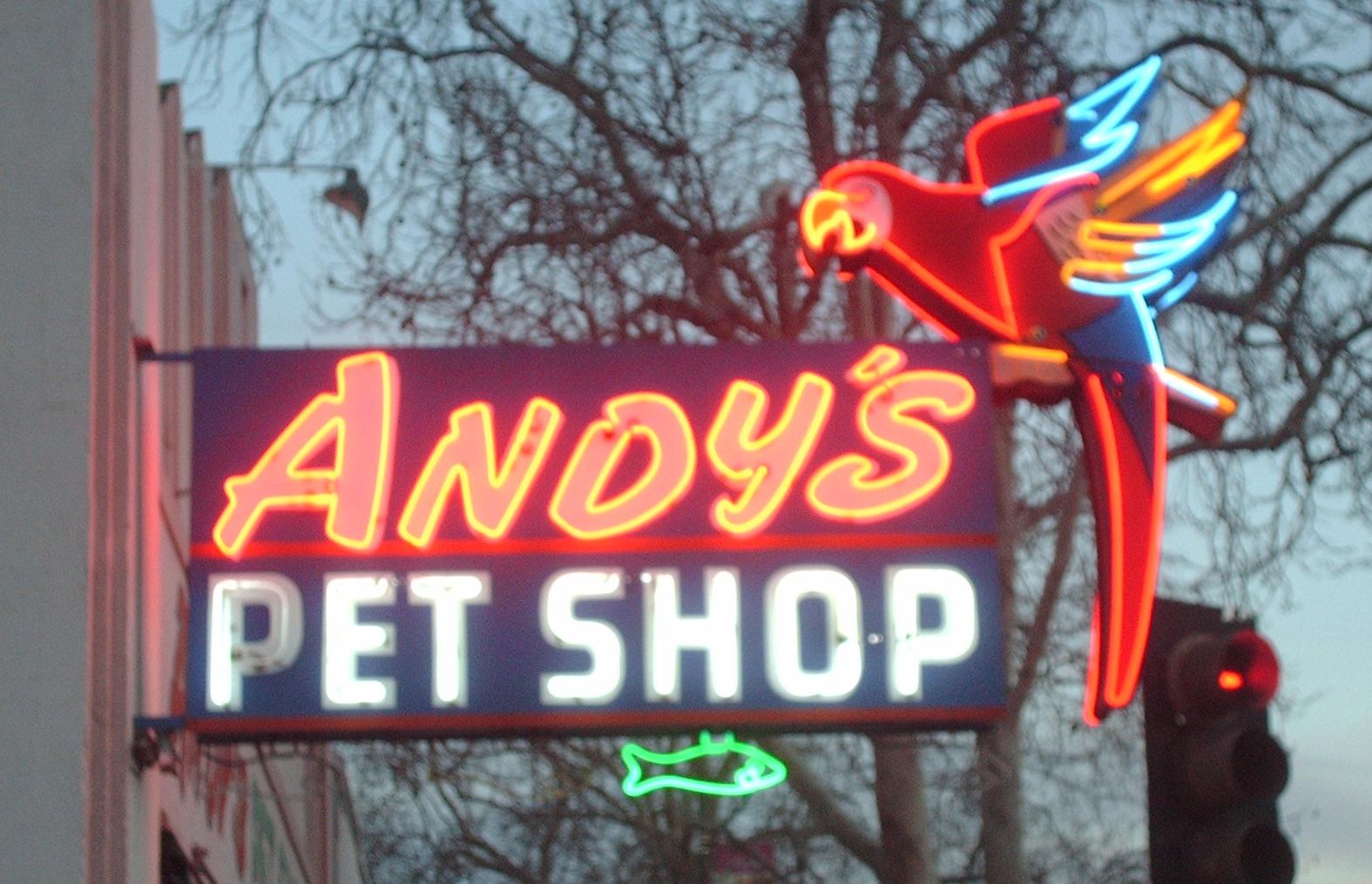 Andy's Pet Shop