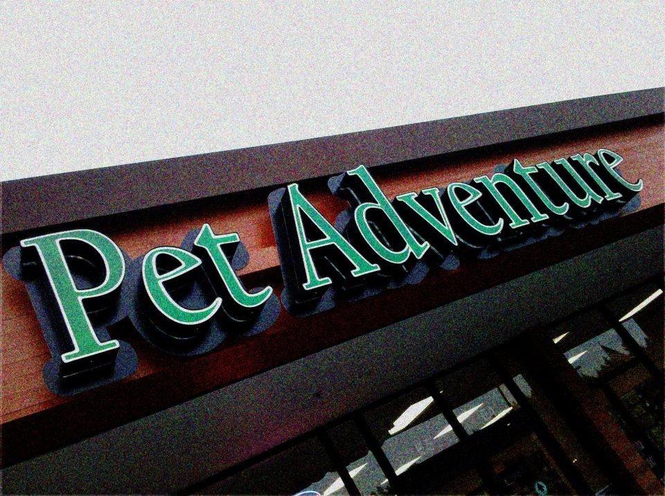 Pet Adventure Storefront