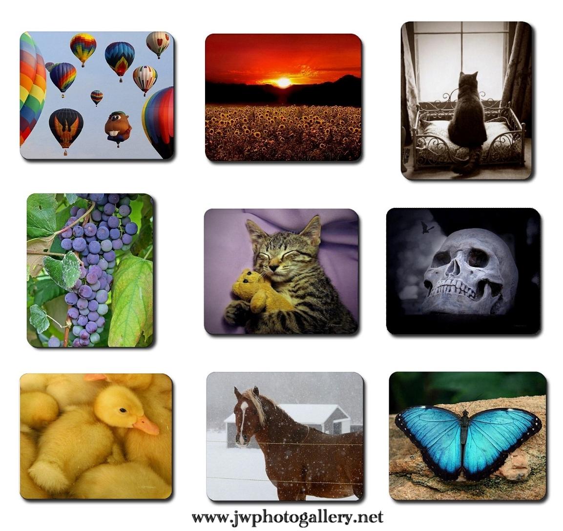 Just a small sample of our photo Mouse Pads! Lots more to choose from!