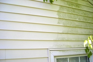 Pressure Washing