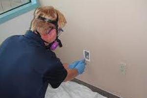 Asbestos Inspections