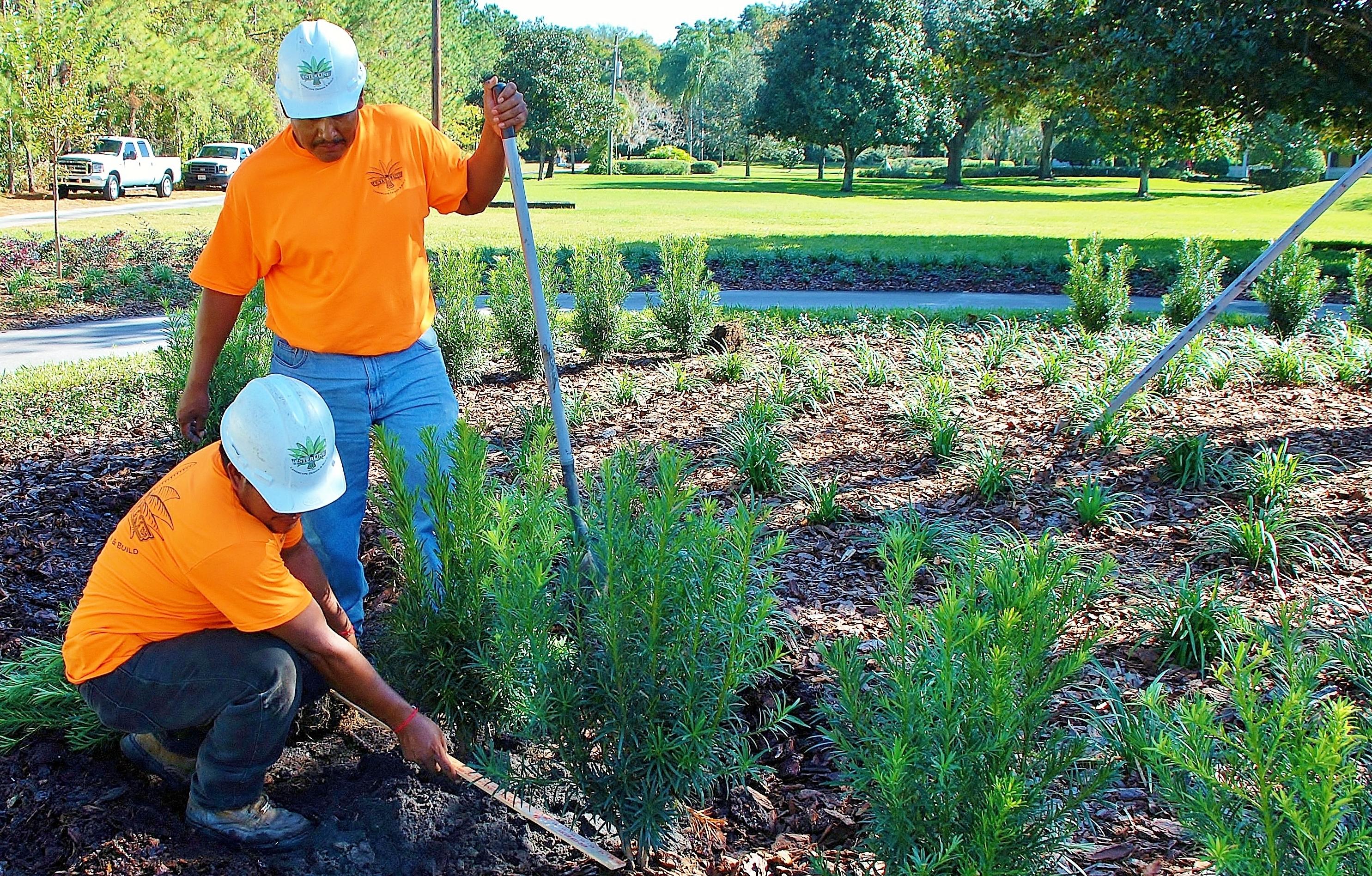 Installation of new plant materials