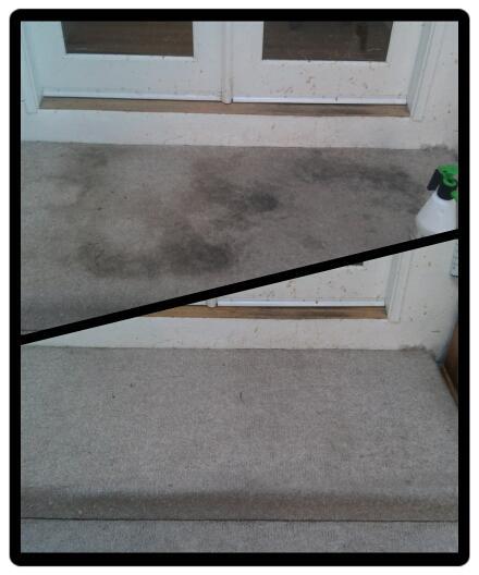 Sears Carpet & Air Duct Cleaning