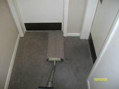 Carpet Cleaning